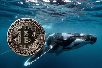 What role are whales playing in this Bitcoin crash?