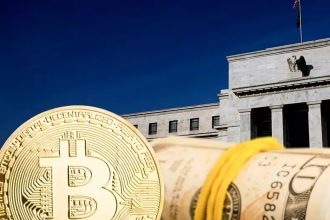 SHIBA INU SURROUNDED BY INVESTORS