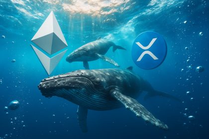 While Ethereum whales rotate, XRP data shows a fatal concentration flaw that leaves one group holding the bag.