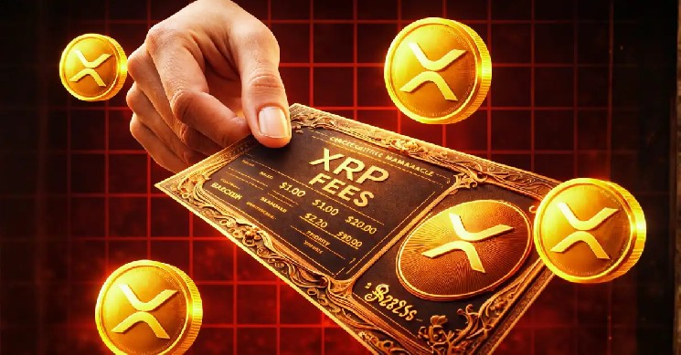 Ripple CTO Explains What’s Happening